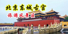 小鸡巴操大骚逼电影中国北京-东城古宫旅游风景区