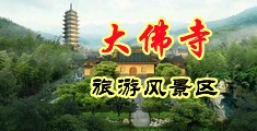 我的大鸡吧插死你骚逼网站视频中国浙江-新昌大佛寺旅游风景区